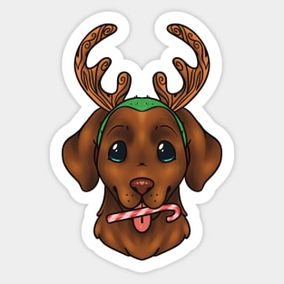 Christmas Chocolate Labrador Retriever Dog Blue/Green Eyes Sticker